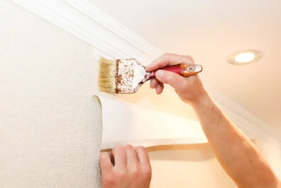 Pose de papier peint à Belgodère — revêtements muraux et toiles de verre